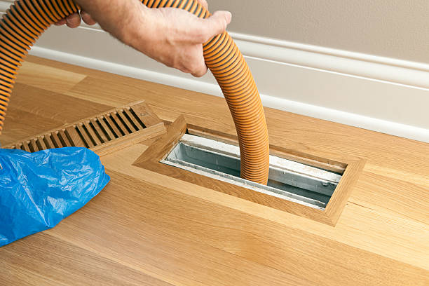 Air Duct Mold Removal in Tallapoosa, GA