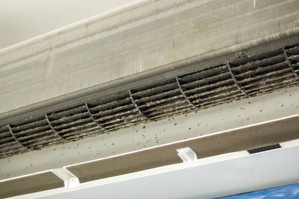 Best HVAC Air Duct Cleaning  in Tallapoosa, GA